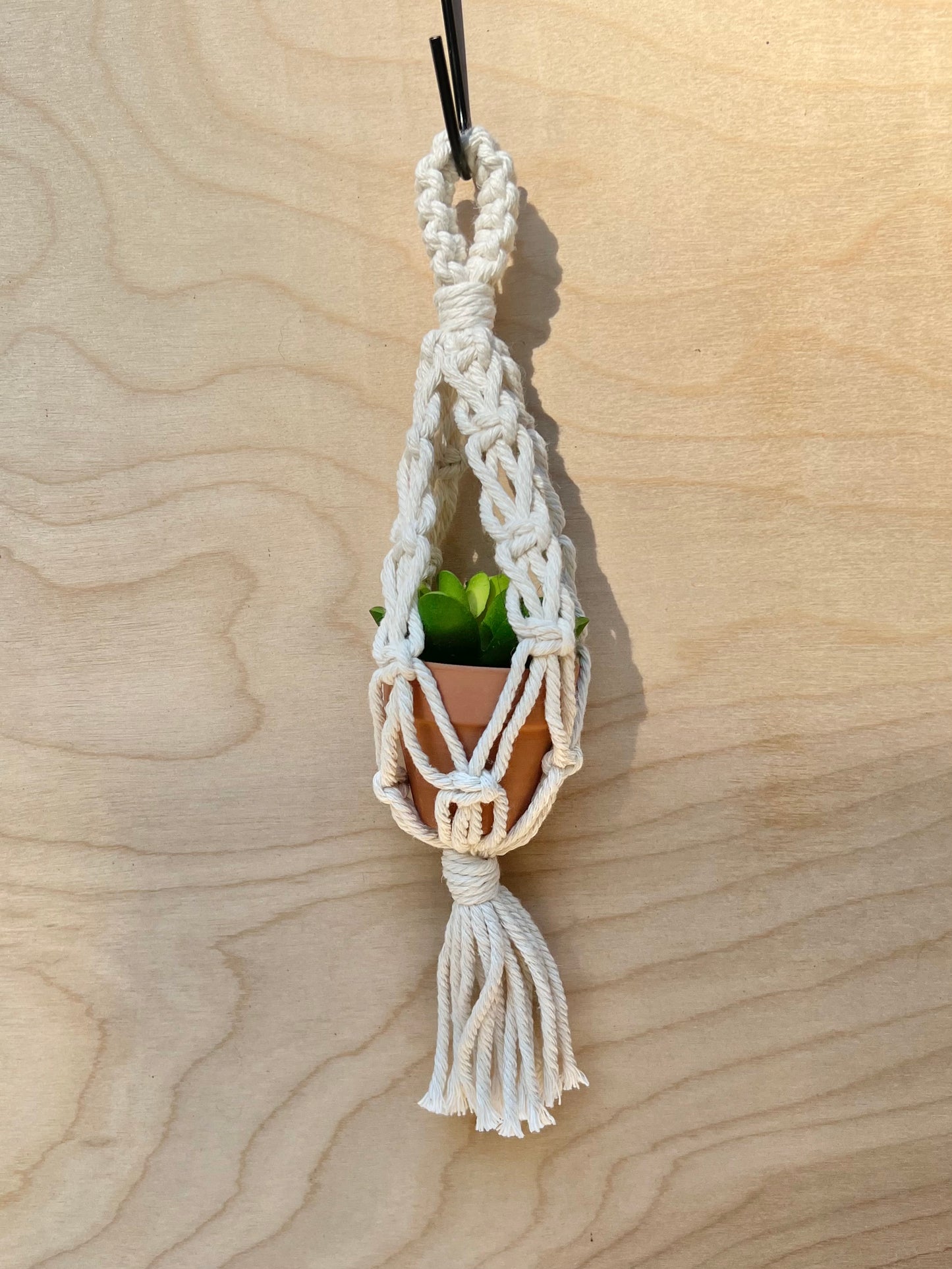 mini plant hangers