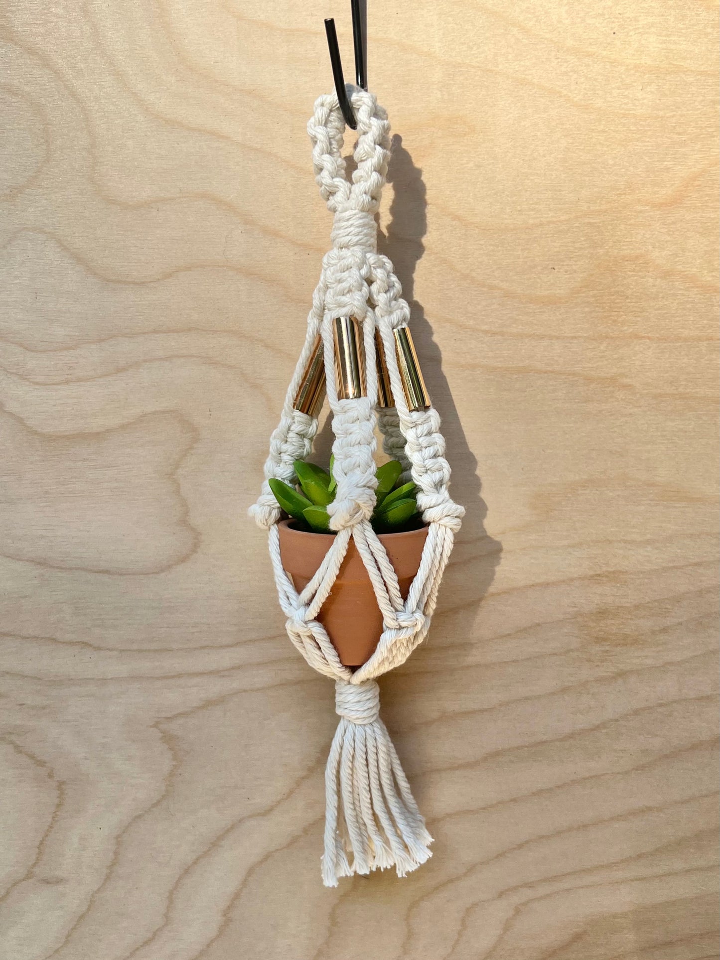 mini plant hangers