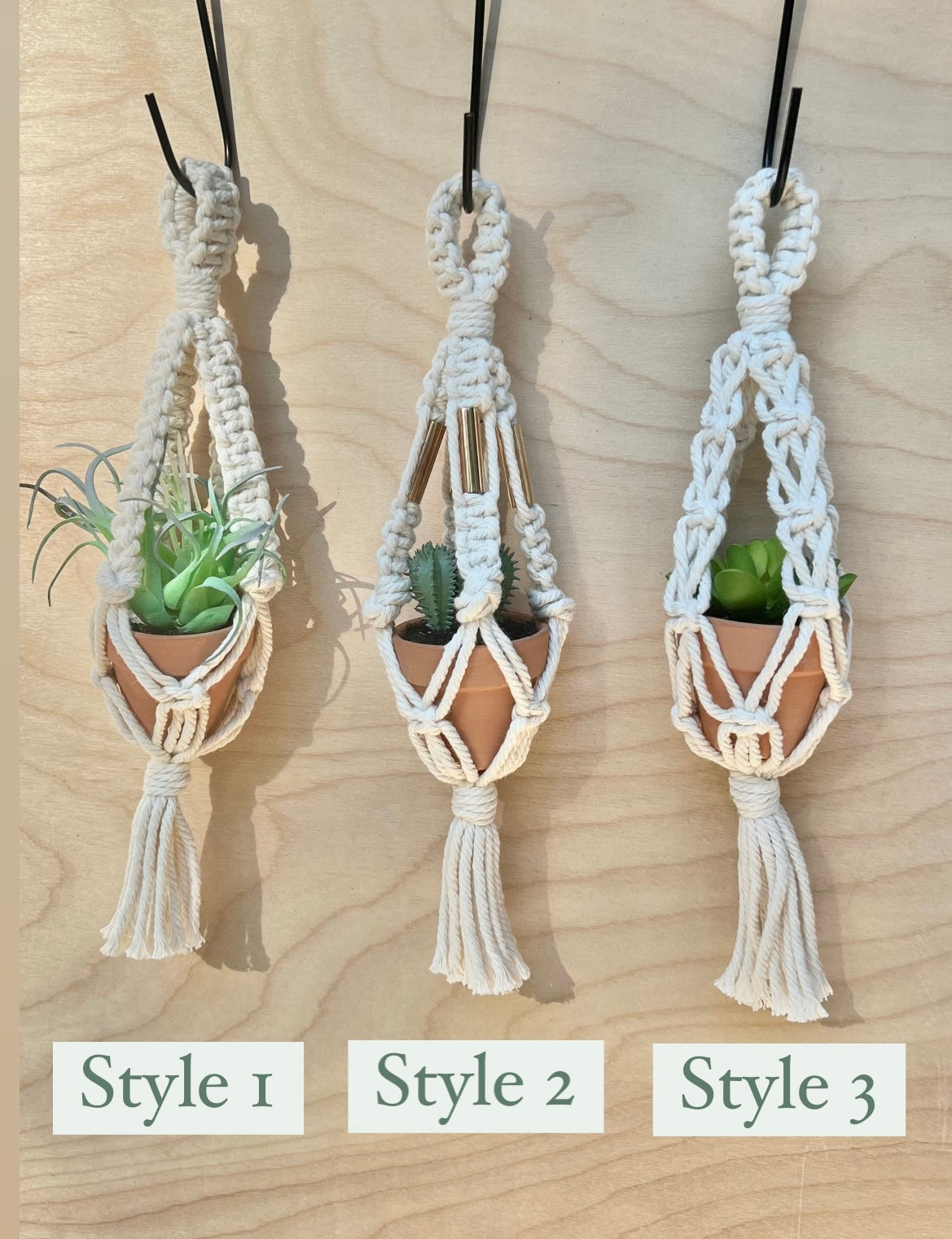mini plant hangers