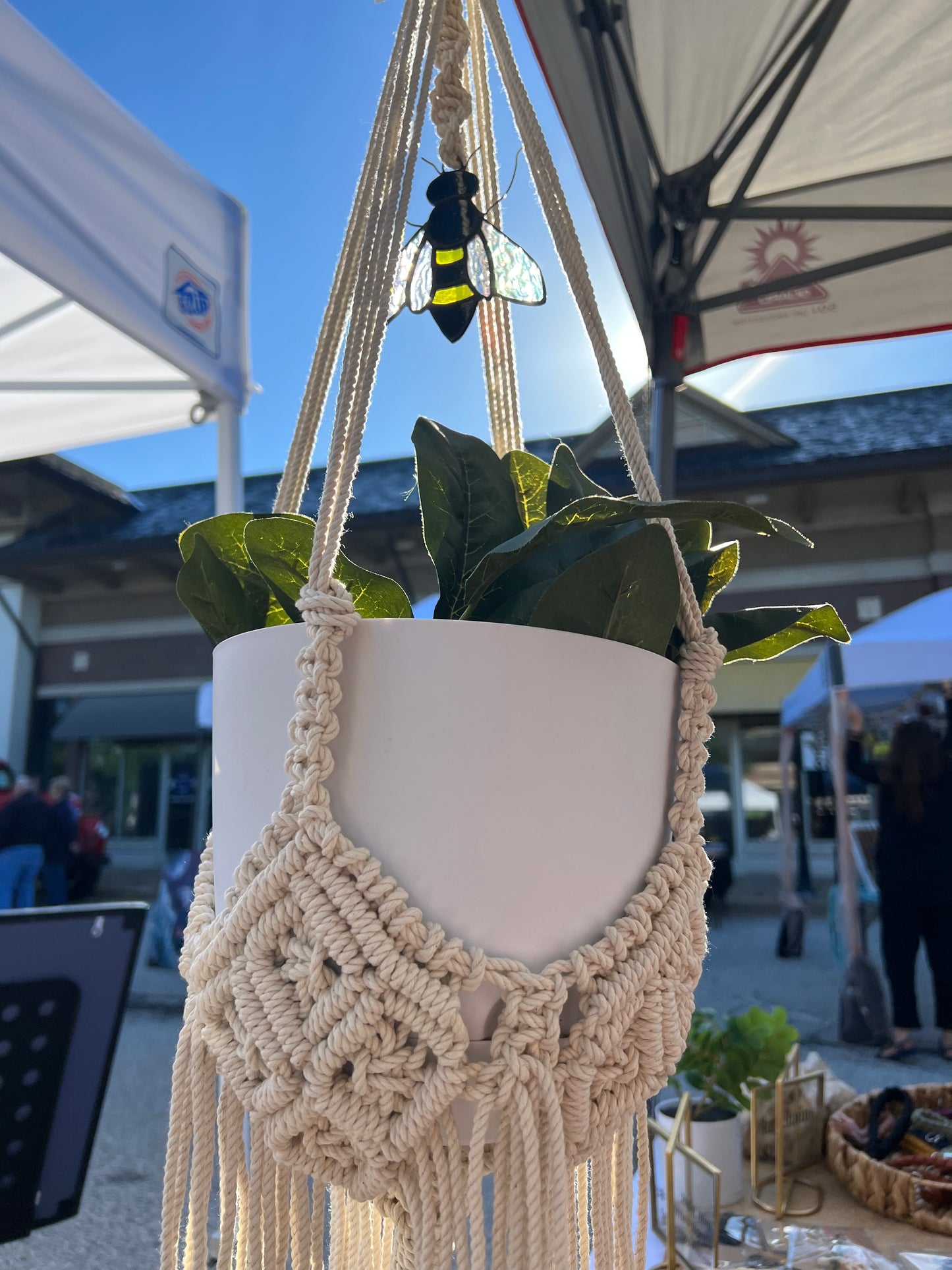 bee plant hanger: a collaboration with AK Stained Glass