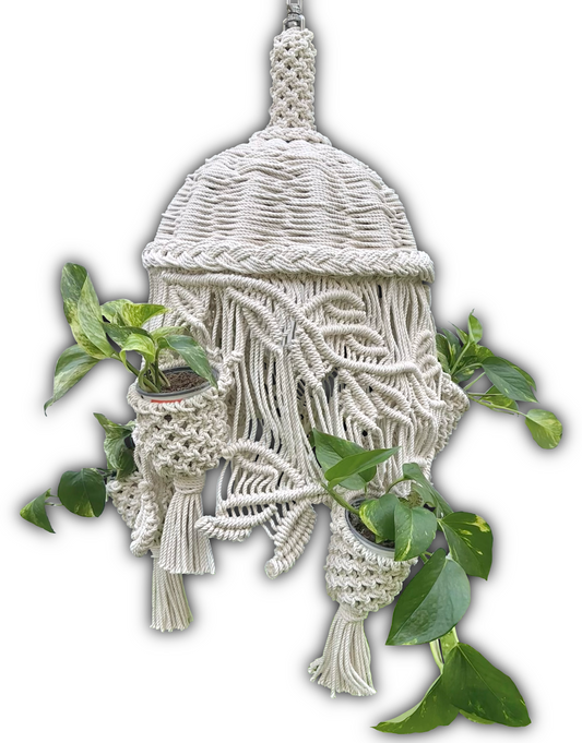 Spinning plant hanger