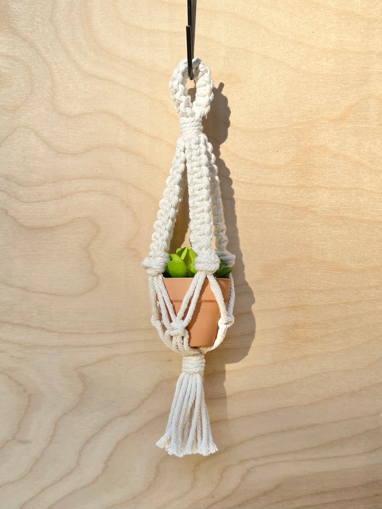 mini plant hangers