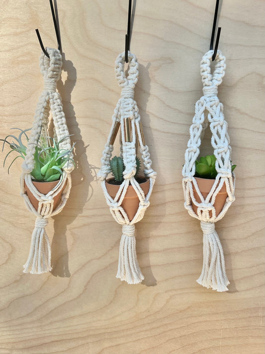 mini plant hangers